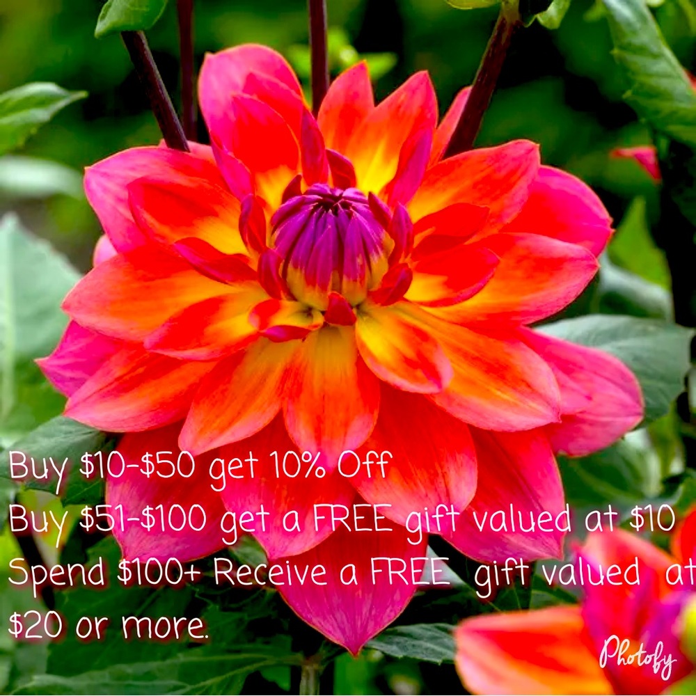 SALE SALE SALE